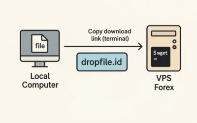 Cara Transfer file ke VPS Menggunakan Dropfile.id