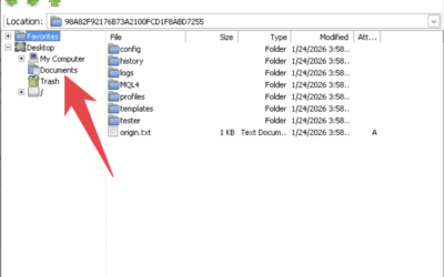 Cara copy File ke Meta Trader digiOS